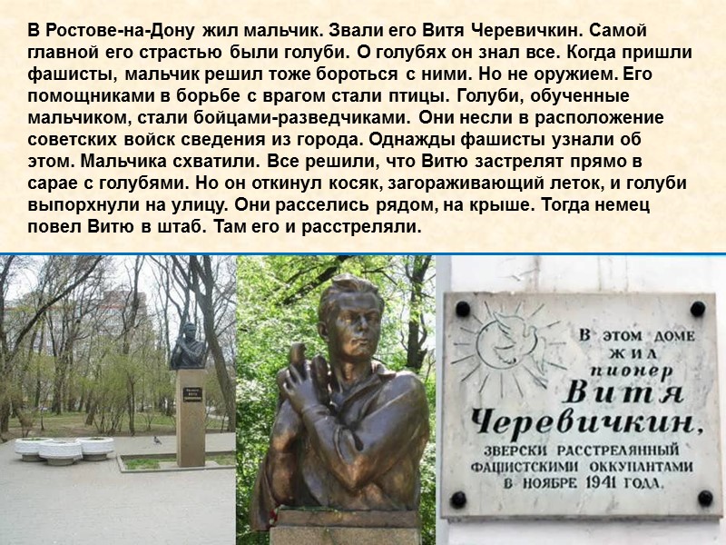 В Ростове-на-Дону жил мальчик. Звали его Витя Черевичкин. Самой главной его страстью были голуби.